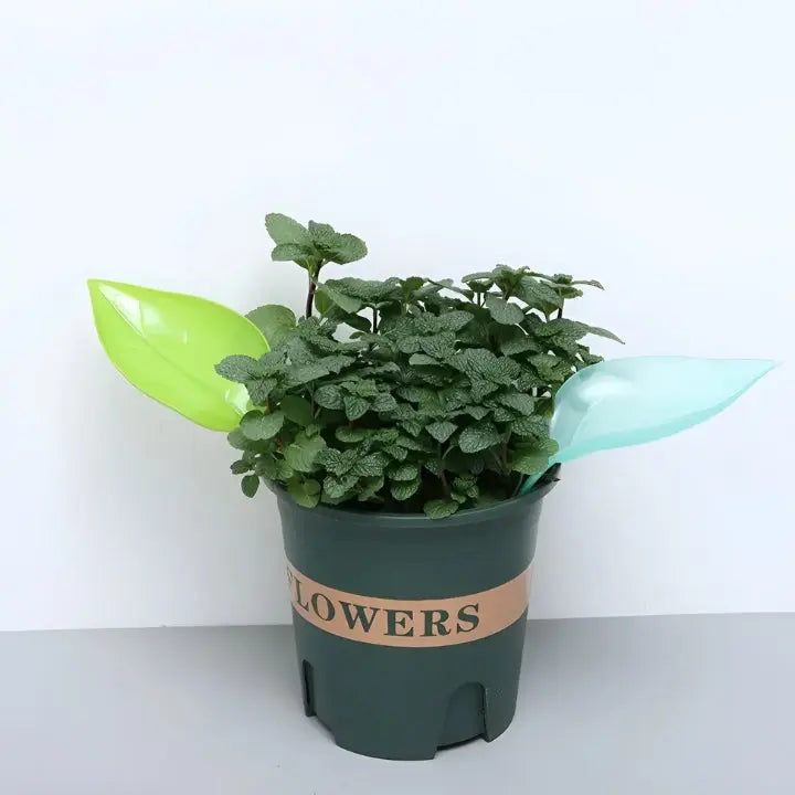 LeafPour™ Mess-Free Watering Tool