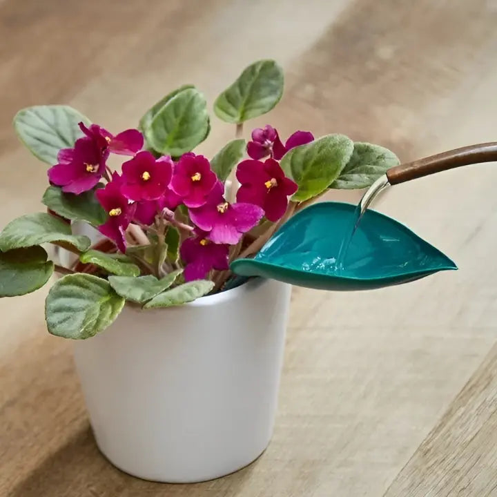 LeafPour™ Mess-Free Watering Tool