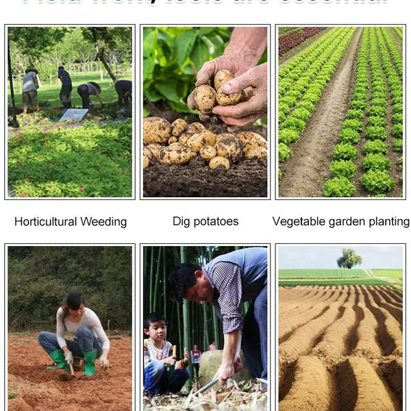 WeedMaster™ - Your Ultimate Weeding Tool