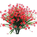  Red Narcissus