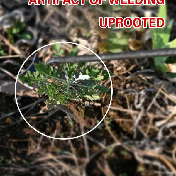 WeedMaster™ - Your Ultimate Weeding Tool