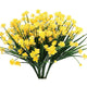  Yellow Narcissus