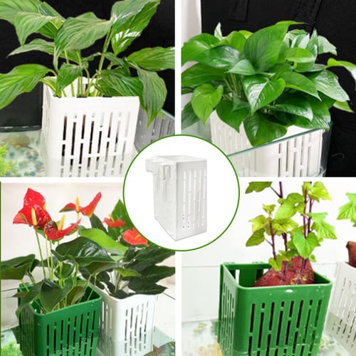 1+1 Free | AquaHanger™ Innovative Hydroponic Design