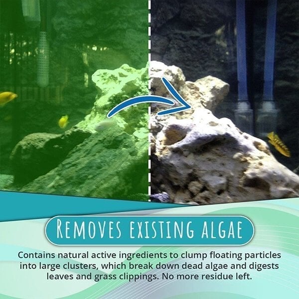 1+1 Free | AquaDefend™ Algae Repellent Powder
