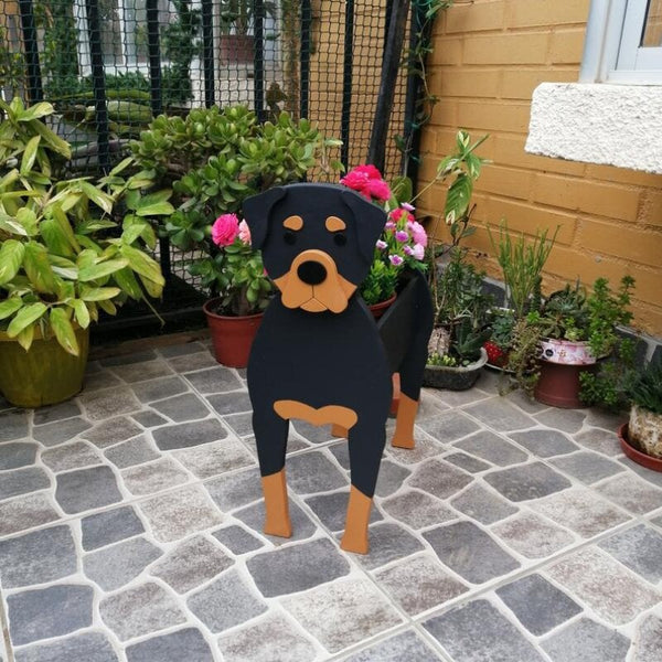PawPlanter™ Playful Nature Accent