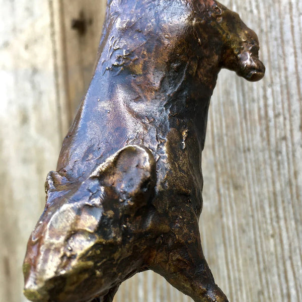 WhiskerKnock™ Whimsical Welcome Touch