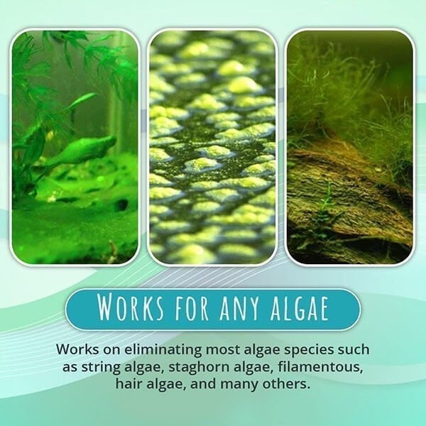 1+1 Free | AquaDefend™ Algae Repellent Powder