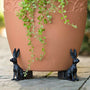 PotElevate™ Plant Pot Feet