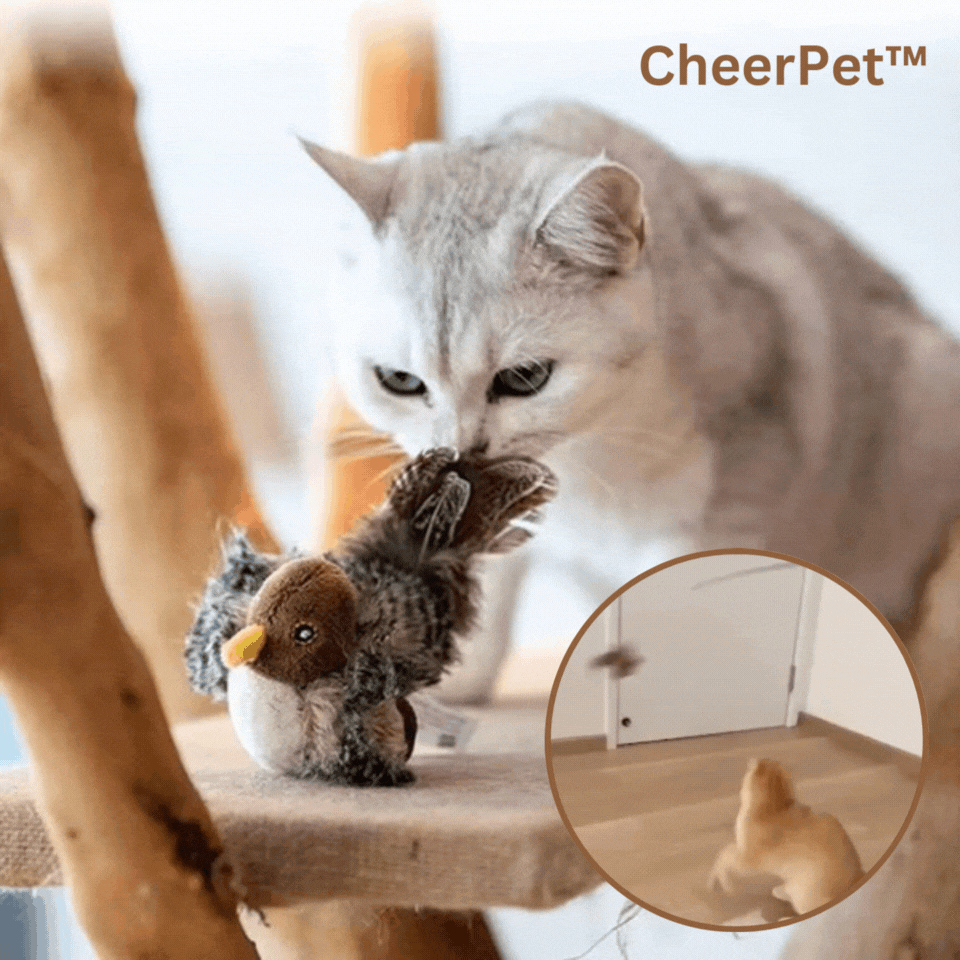 1+1 Free | CheerPet™ Interactive Fun