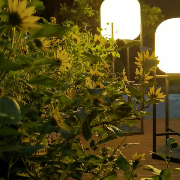 Solar floor lamp lantern for outdoors