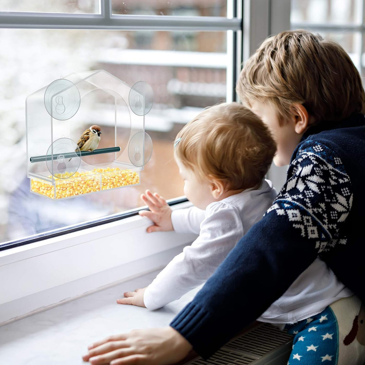 ClearNest™ Window Bird Feeder