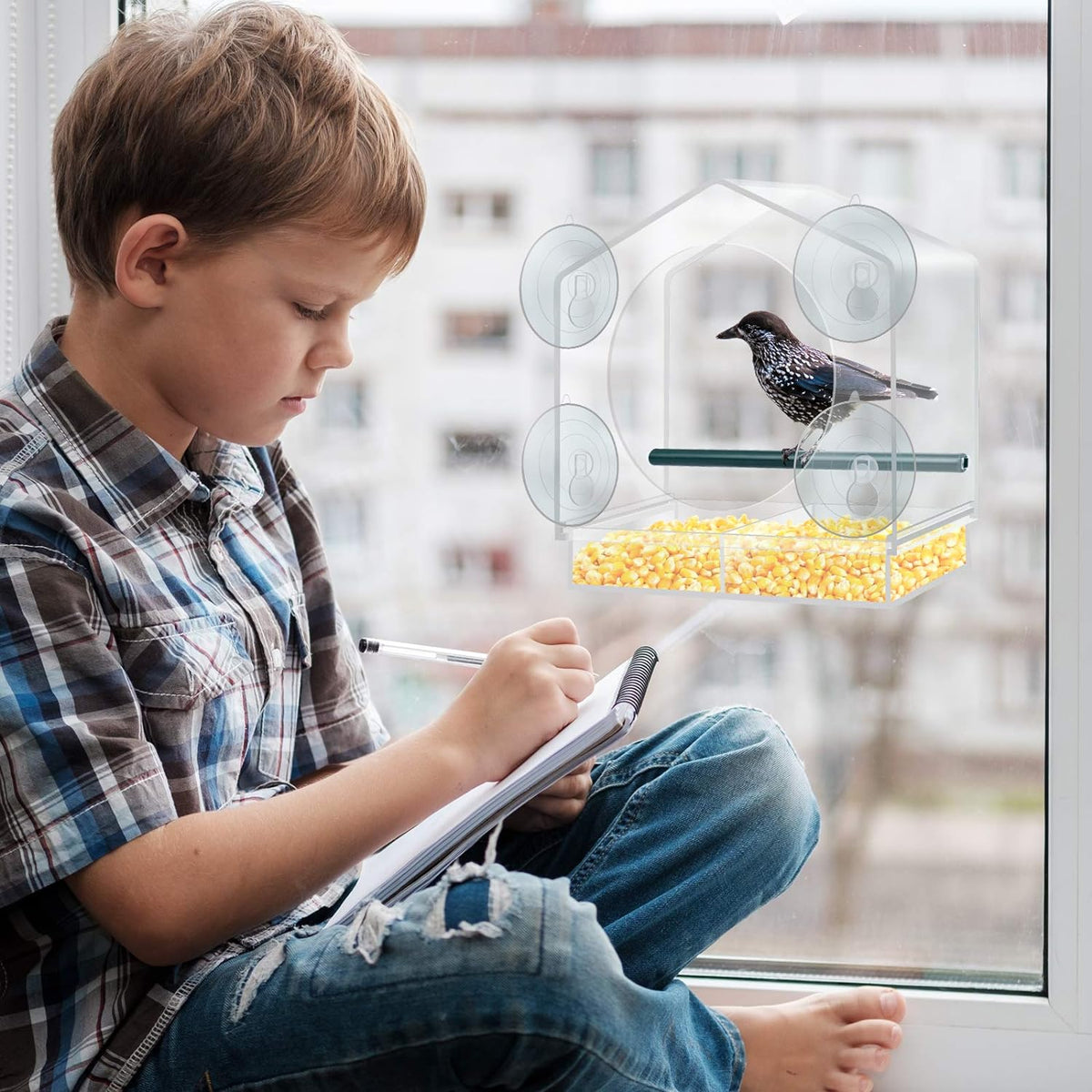 ClearNest™ Window Bird Feeder