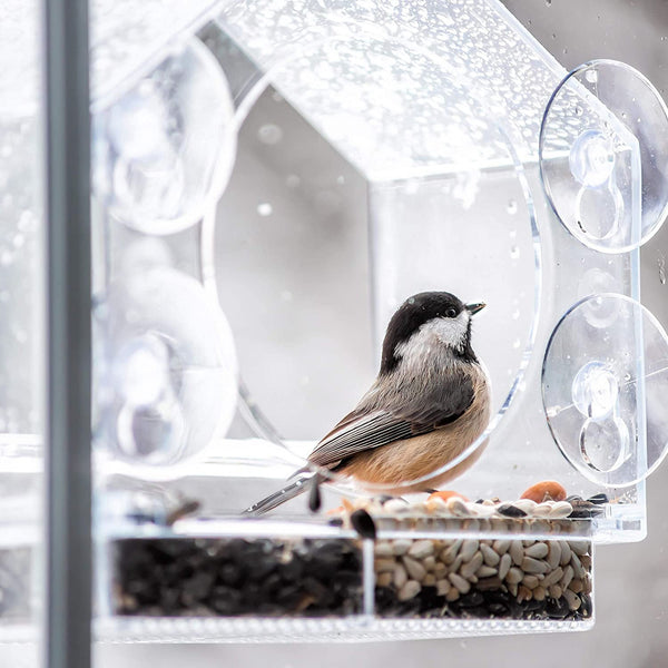 ClearNest™ Window Bird Feeder
