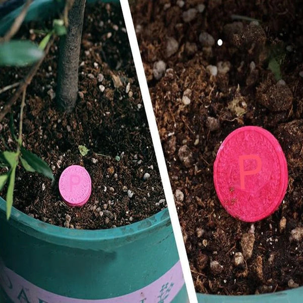 SoilBoost™ Revive Dead Plants