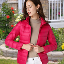  Dark Pink