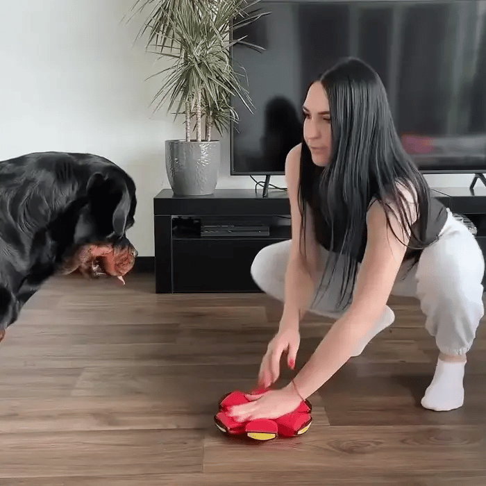 FlexiMorph™ Transforming Ball — Fun That Always Comes Back