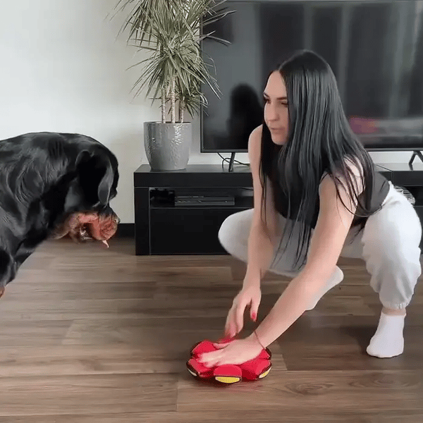 FlexiMorph™ Transforming Ball — Fun That Always Comes Back