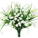  White Narcissus