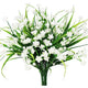  White Narcissus