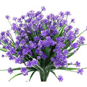  Blue Narcissus