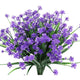  Blue Narcissus