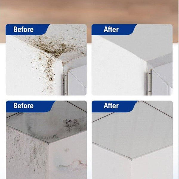 MoldAway™ | Natural Power Against Mold and Mildew