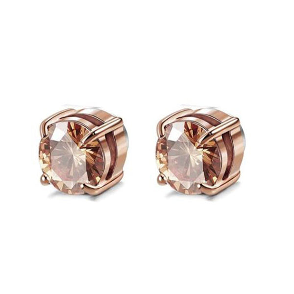 Metiz Lymphvity Magnetherapy Earrings