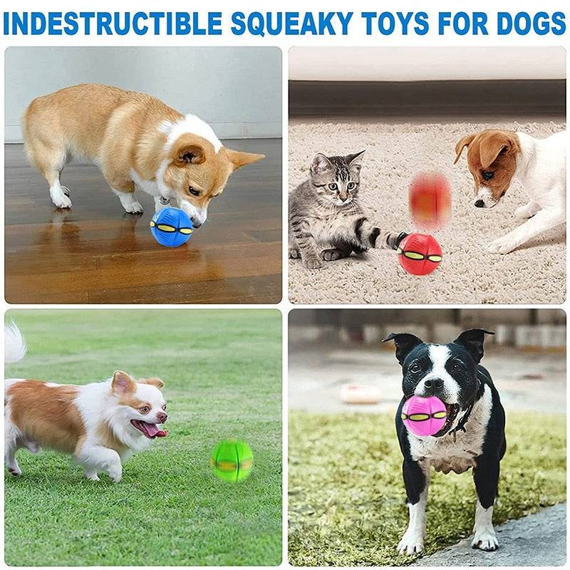 FlexiMorph™ Transforming Ball — Fun That Always Comes Back