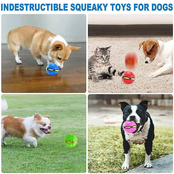 FlexiMorph™ Transforming Ball — Fun That Always Comes Back