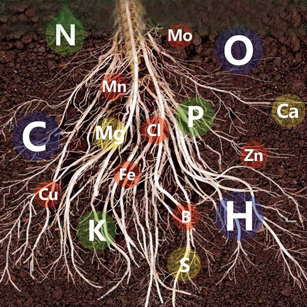 1+1 Free | GreenBoost™ Plant Nutrient Solution
