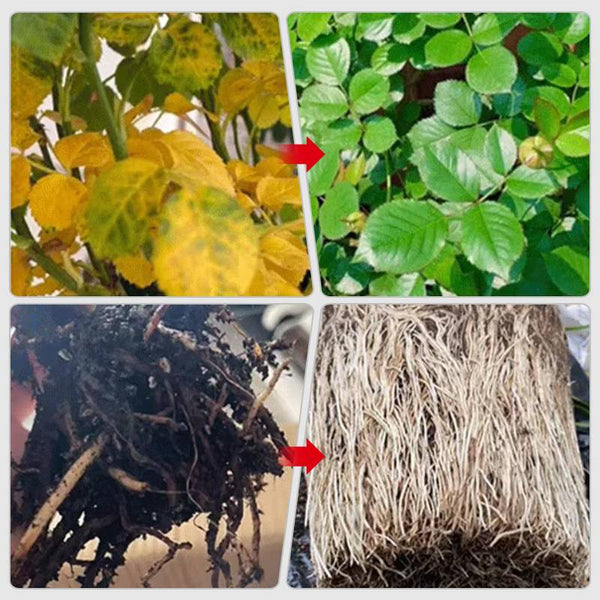 1+1 Free | GreenBoost™ Plant Nutrient Solution