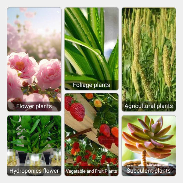 1+1 Free | GreenBoost™ Plant Nutrient Solution