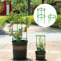 PlantLift™ Growth Support System